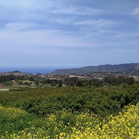 Apartamento Privado En Una Zona Tranquila Y Proxima Al Aeropuerto Tf Norte Y A La Ciudad De San Cristobal De La Laguna . Oda fotoğraf